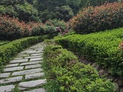 -桃花岭景区