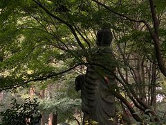 -灵隐飞来峰景区