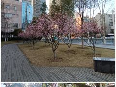-王家墩东(地铁站)