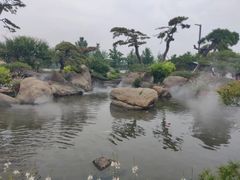 -罗红摄影艺术馆