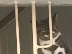 -金手勺东北菜(贵友店)