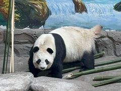-青藏高原野生动物园