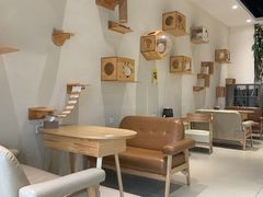 大堂-藏猫猫咖啡主题馆(中央大道店)
