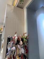 点击看大图 -爱儿美儿童摄影(奥森公园店)