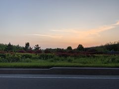 -日照海滨国家森林公园