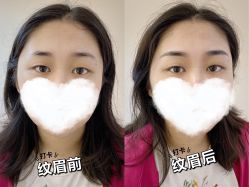 -MIVI半永久纹眉机器野生眉纹唇