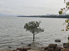 -深圳湾公园(南山区)