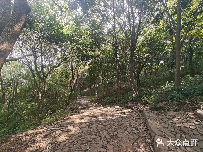 雨花胜境图片