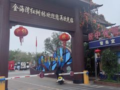 -北海金海湾红树林生态旅游区