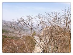 -北京鹫峰国家森林公园