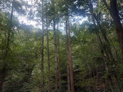 -西湖风景区十里琅珰-五云山