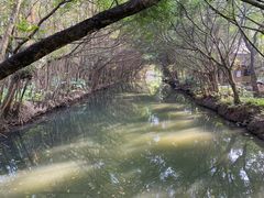 -大湾区中央湿地公园