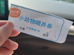 -前小桔亲子创意农场·草莓采摘·露营烧烤