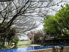 -喜洲吧·江畔老船厂·庭院餐厅(喜临院店)