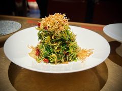 巧拌豆苗-四季民福烤鸭店(西单华威约饭街店)