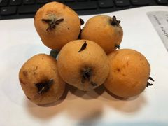 -塘栖枇杷特色园区