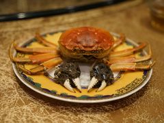 -王宝和酒家(黄浦店)