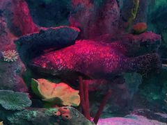 -沈阳海洋探索中心