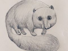 -东方童画少儿美术(莘庄体验馆)