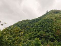 -藏龙百瀑风景区