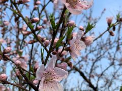 -蜀冈西峰生态公园