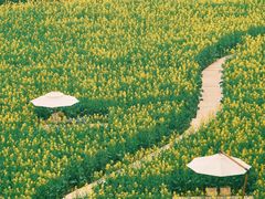 -中国天府农业博览园