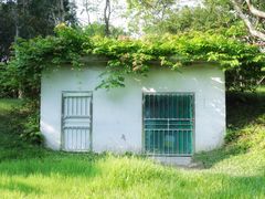 -福田红树林生态公园
