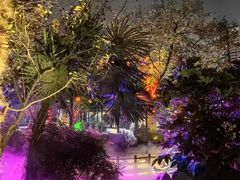 -南京市民俗博物馆(甘熙宅第)