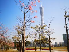 -二沙岛艺术公园