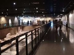 -洛阳周王城天子驾六博物馆