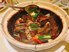 黄鳝啫啫煲-惠食佳(滨江大公馆店)