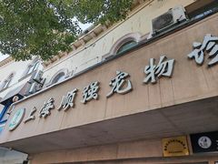-顺强宠物诊所·狂犬免疫·夜诊·骨科(嘉定店)