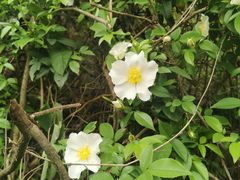 -青龙山国家森林公园