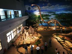 -自贡恐龙博物馆