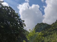 -西安祥峪森林公园