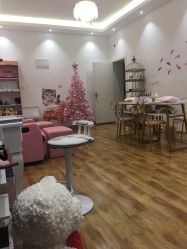 -Lab Season惜辰颜究社