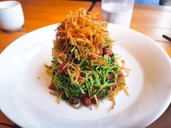 巧拌豆苗-四季民福烤鸭店(前门廊房二条店)