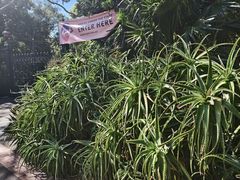 -墨尔本皇家植物园