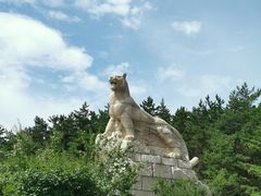 -帽儿山国家森林公园