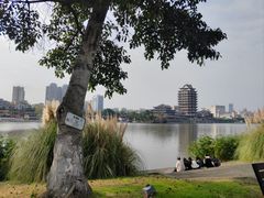 -眉山湿地公园(东坡区)