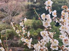 -苏州上方山国家森林公园