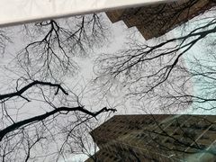 -安惠养车(安定门店)