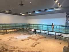 -中国西峡恐龙遗迹园