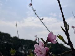 -美兰湖景区