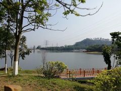 -水濂山森林公园