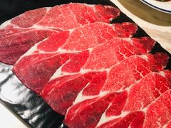 牛上脑-汤城·料青山
