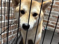 -呼吸沉浸式剧场(甘露园店)