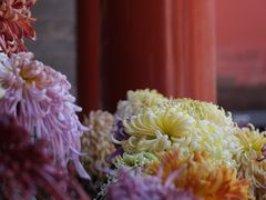 -故宫博物院(故宫)