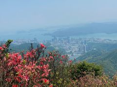 -梧桐山风景名胜区