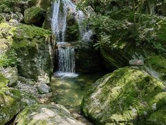 -牛背梁国家森林公园